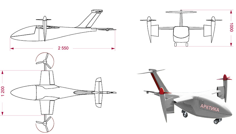 Drone convertible plane